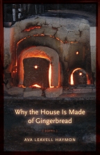 Why the House Is Made of Gingerbread - Cover