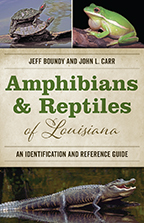 Amphibians and Reptiles of Louisiana - Cover