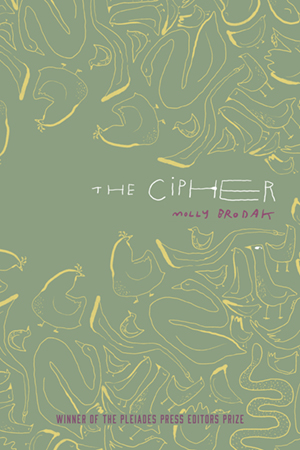 The Cipher - Cover