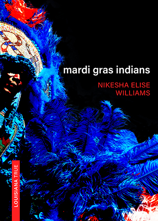 Mardi Gras Indians - Cover