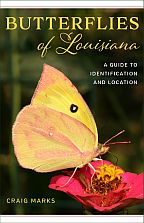 Butterflies of Louisiana - Cover